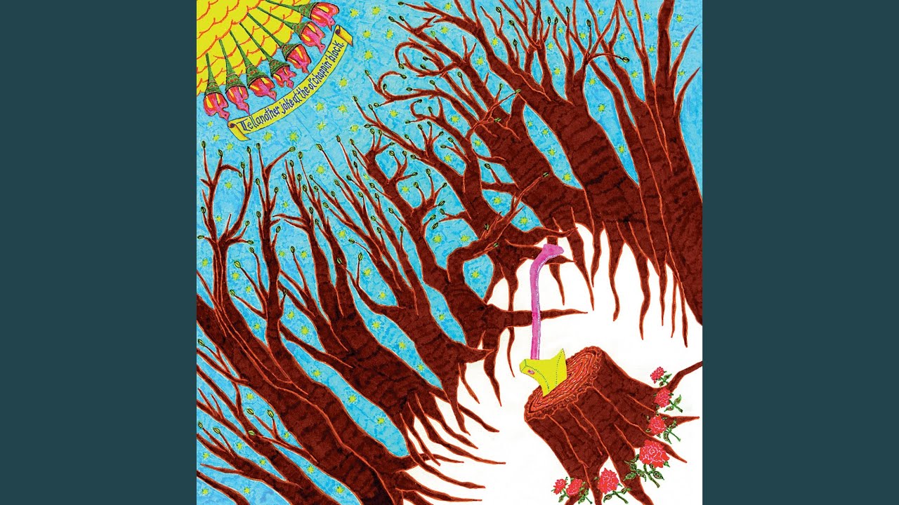 Danielson Famile – A No No