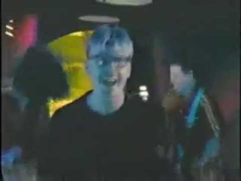 The Mustard Seeds – Cats And Dogs